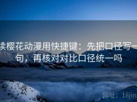 读樱花动漫用快捷键：先把口径写一句，再核对对比口径统一吗
