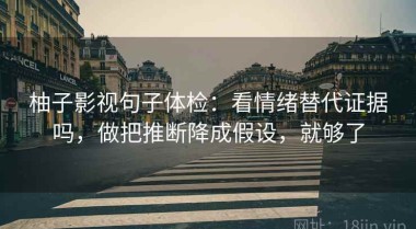 柚子影视句子体检：看情绪替代证据吗，做把推断降成假设，就够了