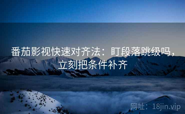 番茄影视快速对齐法：盯段落跳级吗，立刻把条件补齐