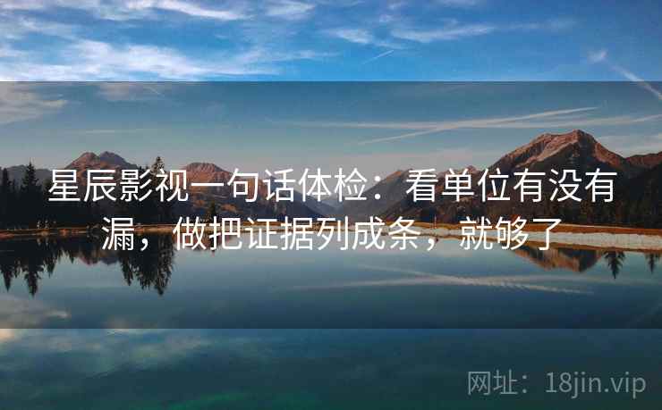 星辰影视一句话体检：看单位有没有漏，做把证据列成条，就够了